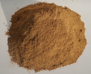 Bột Cá Biển (Marine fish meal)