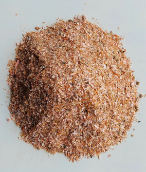 Bột tôm (Shrimp Meal)