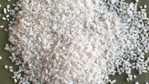 Tấm gạo (Rice broken)