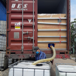 Dịch tôm thủy phân