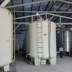 Dịch tôm thủy phân