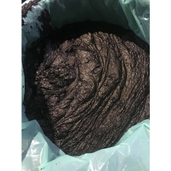 Nội tạng mực dẻo