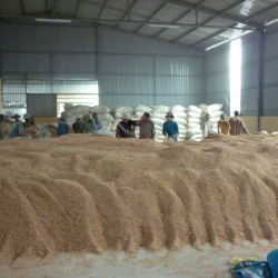 Bột tôm các loại khác