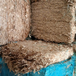 Vỏ tôm Vỏ tôm